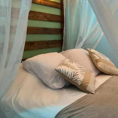 Escapade Zen - Oasis Tropicale & Privatif Tatil Evi Loon-Plage